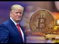 Bitcoin (BTC) Melesat Tembus $65.000 USD Didukung Elektabilitas Donald Trump