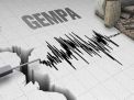 Gempa Bumi Magnitudo 5,6 Guncang Kabupaten Tanimbar, Maluku