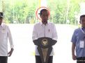 Presiden Jokowi Resmikan Tol Trans Sumatera di Jambi Jelang Purnatugas