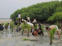 Pulau Pramuka Jadi Lokasi Kerja Sama LindungiHutan dan Smiling Coral Indonesia