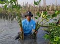 Upaya Keberlanjutan LindungiHutan di Tambakrejo, Kota Semarang