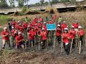 Yayasan WINGS Peduli Tanam 500 Mangrove dalam Program #WINGSPeduliLingkungan