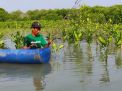 LindungiHutan Rilis Program Mangrove Capital, Bantu Perusahaan Mewujudkan Keuangan Berkelanjutan