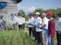 Pj Bupati Muaro Jambi Serahkan Bantuan Mesin Pompa Air untuk Petani Terdampak Kemarau