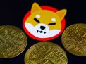 Prediksi Harga Shiba Inu: Apakah SHIB akan Mencapai Harga Tertinggi Sepanjang Masa di Tahun Ini?