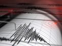 Gempa Bumi Berkekuatan Magnitudo  4,6 Guncang  Kabupaten Bone Bolango Malam Ini