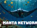 Memaksimalkan Keuntungan dengan Staking Manta di Ekosistem Manta Network