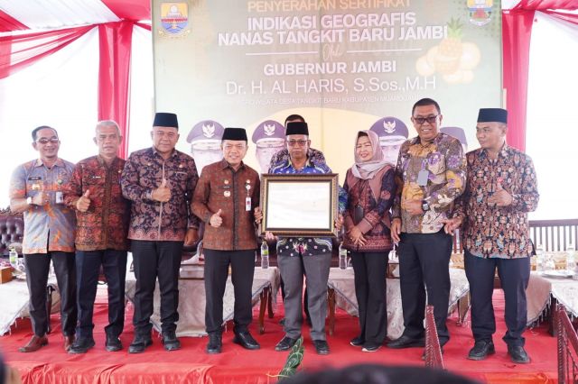 Gubernur Jambi Al Haris Serahkan Sertifikat Indikasi Geografis, Komoditas Nanas