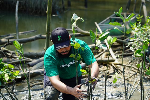 Pesan Penting Dari CEO LindungiHutan Memperingati Hari Lingkungan Hidup Sedunia