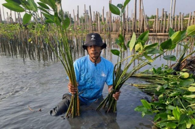 Upaya Keberlanjutan LindungiHutan di Tambakrejo, Kota Semarang