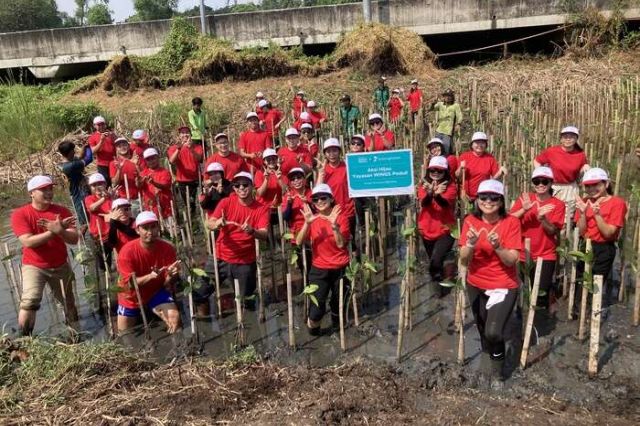 Yayasan WINGS Peduli Tanam 500 Mangrove dalam Program #WINGSPeduliLingkungan