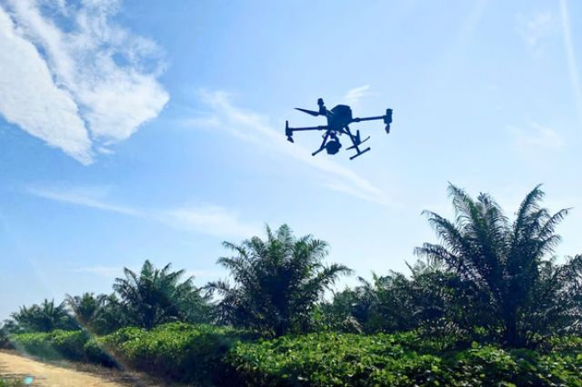 Halo Robotics Hadirkan Solusi Drone Pemetaan LiDAR untuk Perkebunan Sawit