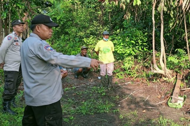 Geger! Penemuan Kerangka Manusia Berserakan di Tanjab Timur, Ini Identitasnya