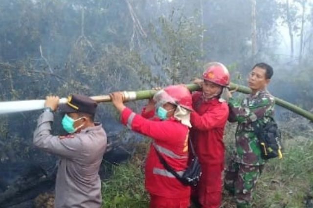 Kebakaran Hebat di Muara Bulian: Dua Hektar Lahan Warga Hangus Terbakar