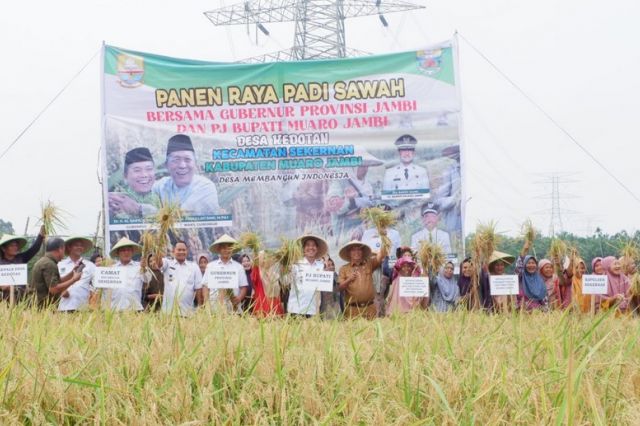 Pj Bupati Muaro Jambi Ikut Panen Padi dan Serahkan Bantuan untuk Tingkatkan Produktivitas Pertanian