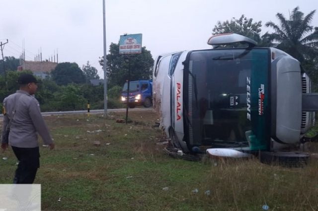 Ngeri! Bus Palala Terguling di Tebo, 1 Tewas dan Puluhan Luka, Apa Penyebabnya?