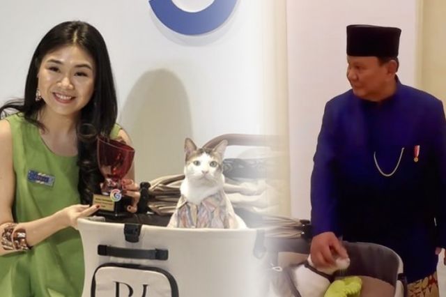 Bobby Kertanegara, Kucing yang Menguasai Google 2024 dan Jadi Sorotan Dunia!