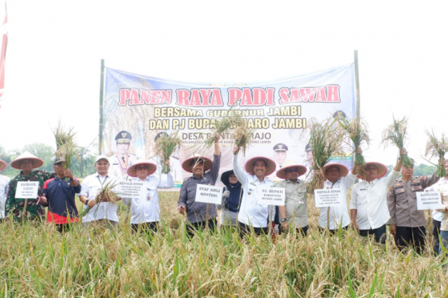 Penjabat Bupati Muaro Jambi Hadiri Panen Perdana Padi di Desa Rantau Majo, Sekernan