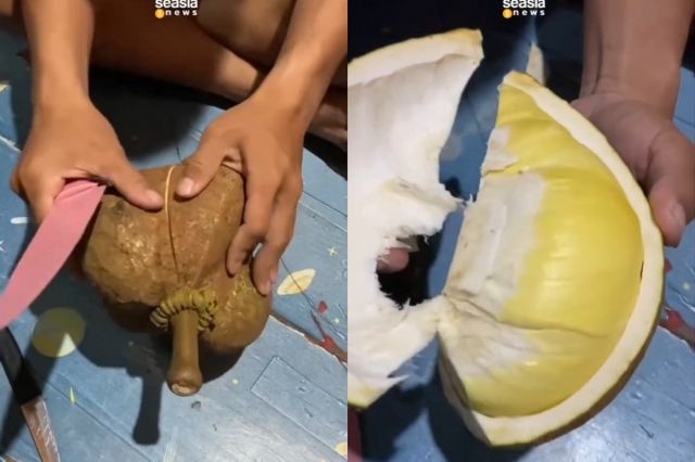 Viral Di Thailand Ada Durian Tanpa Duri, Begini Bentukannya