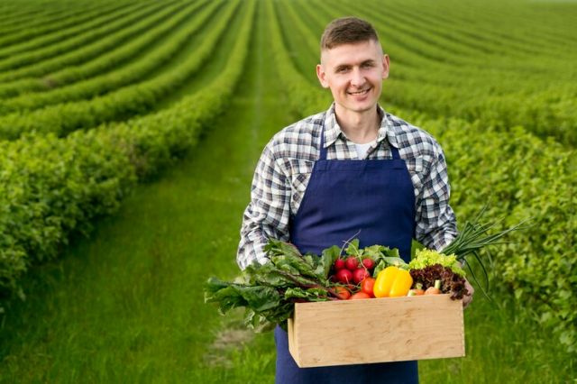 Panduan Lengkap Cara Daftar Program Petani Milenial dari Kementan, Peluang Berkembang Di Sektor Pertanian